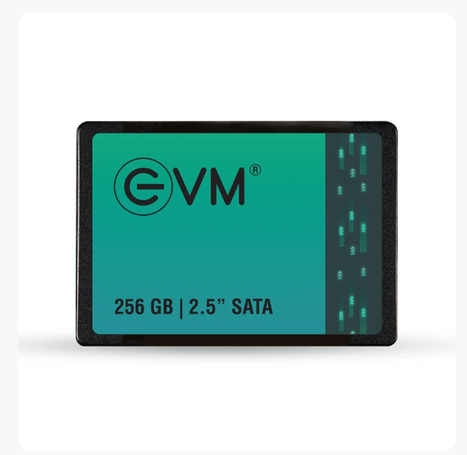 EVM 256GB Sata SSD