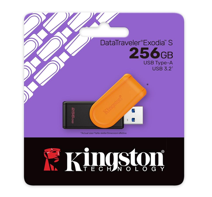 Pendrive Kingston 256 GB