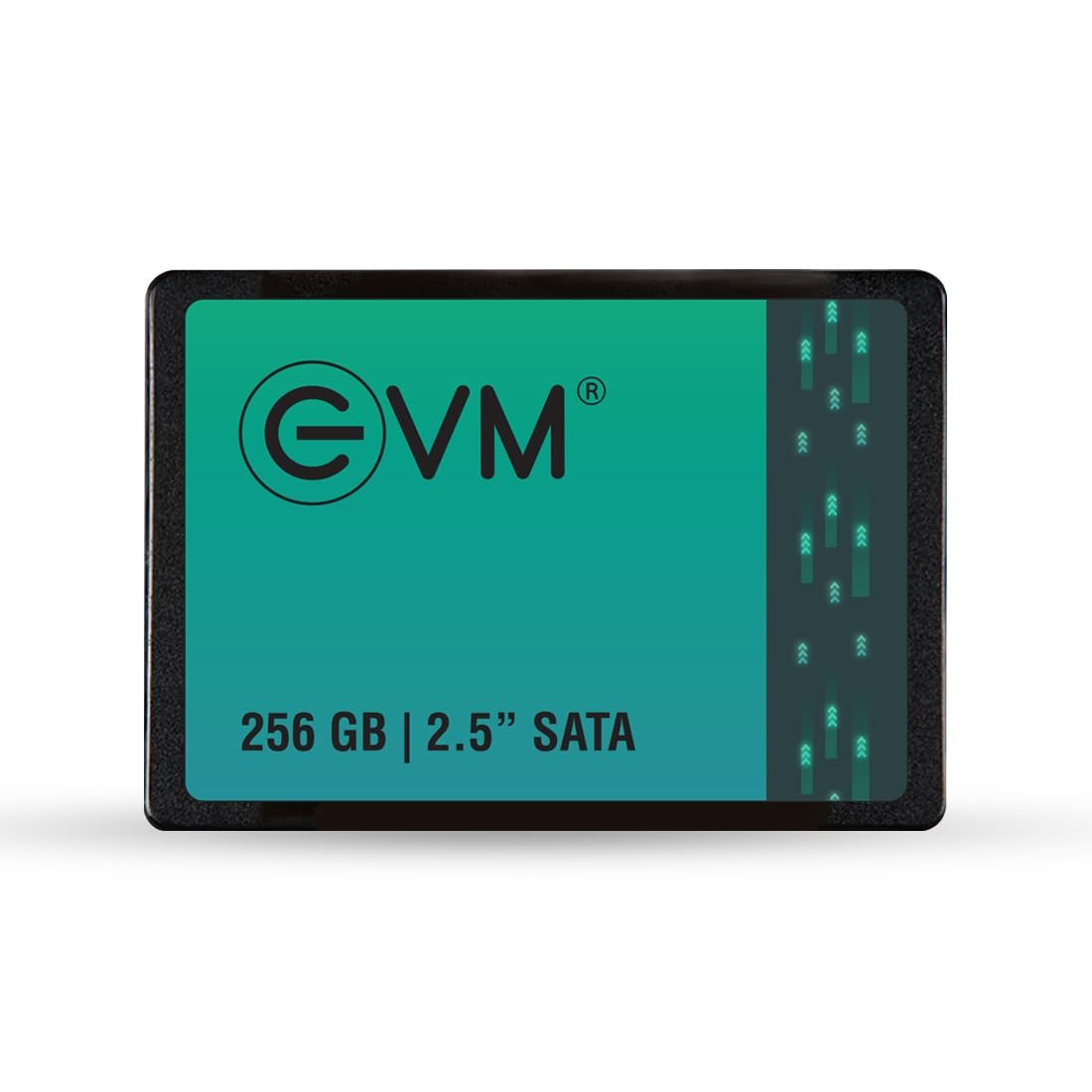 EVM 256GB Sata SSD
