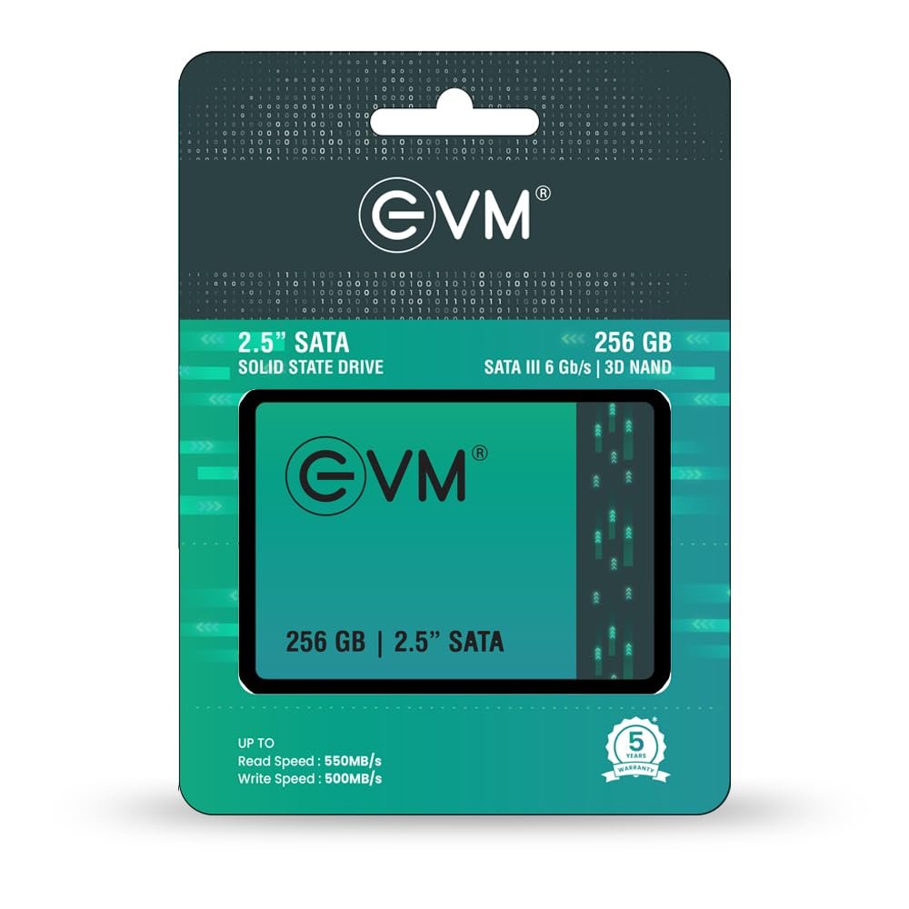 EVM 256GB Sata SSD